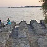 Tarsa Drios