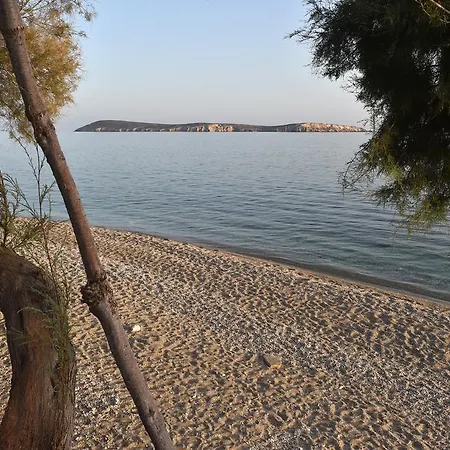 Tarsa شقة دريوس