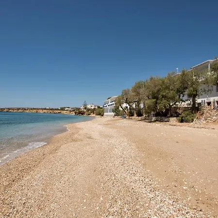 Tarsa دريوس