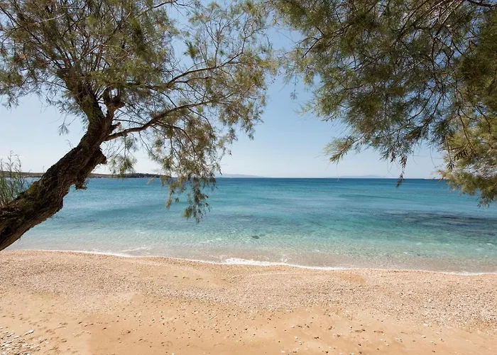 Tarsa شقة دريوس